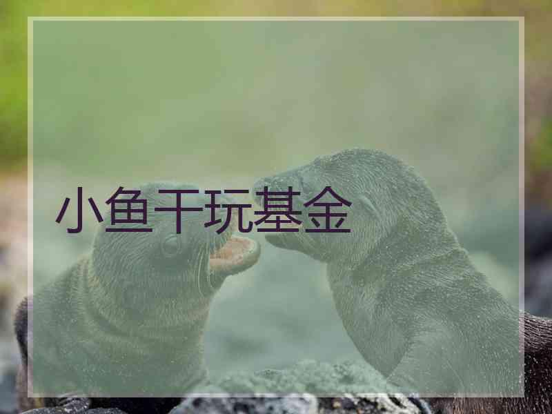 小鱼干玩基金