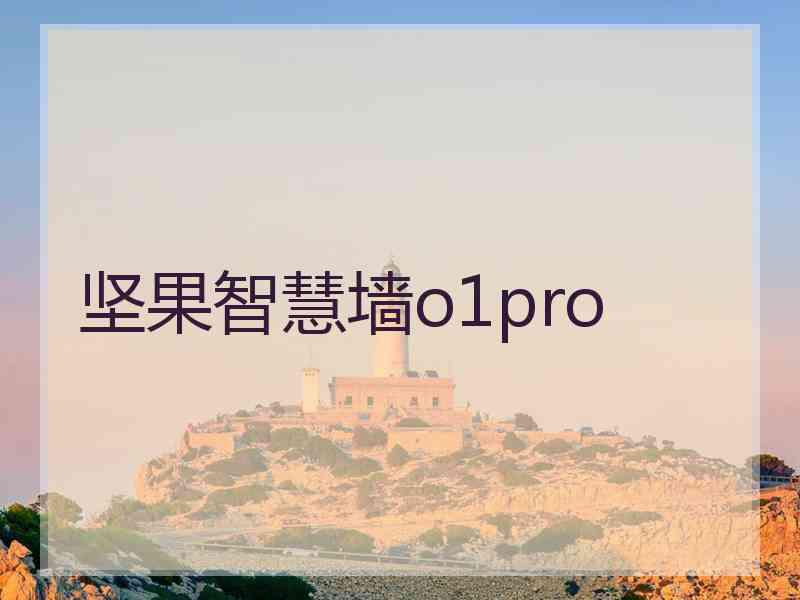 坚果智慧墙o1pro