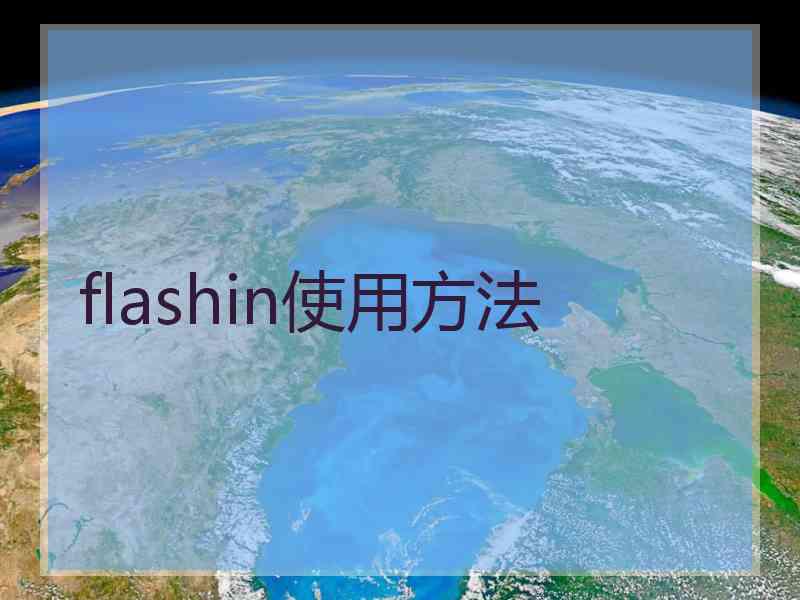 flashin使用方法