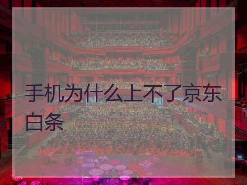 手机为什么上不了京东白条