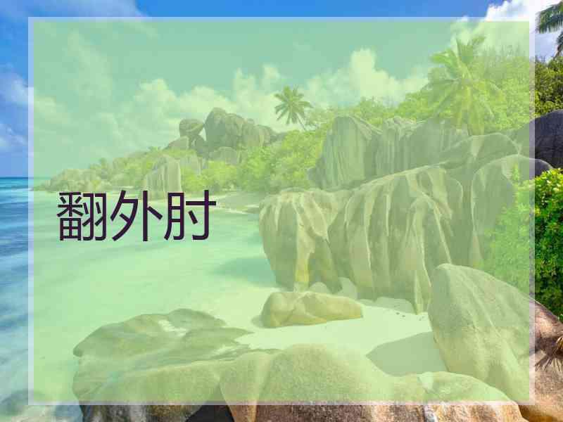 翻外肘