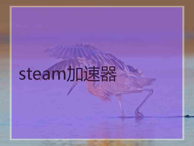steam加速器