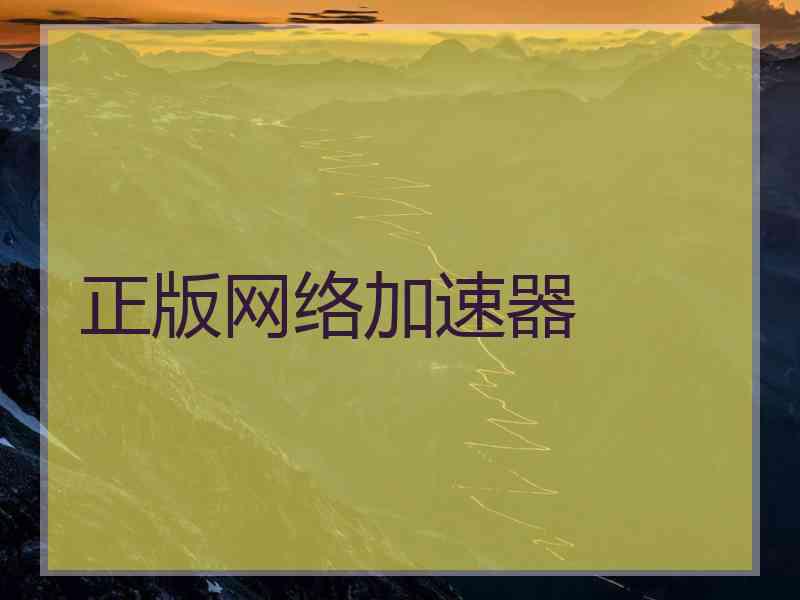 正版网络加速器