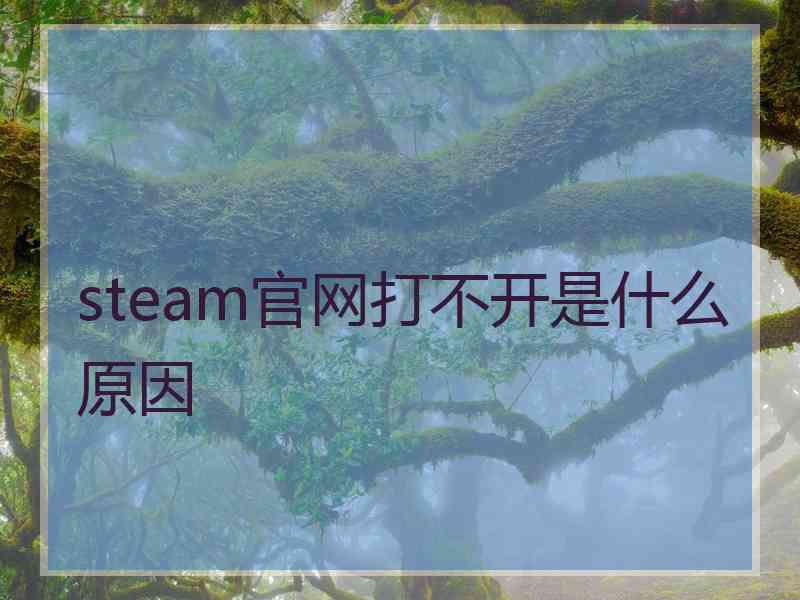 steam官网打不开是什么原因