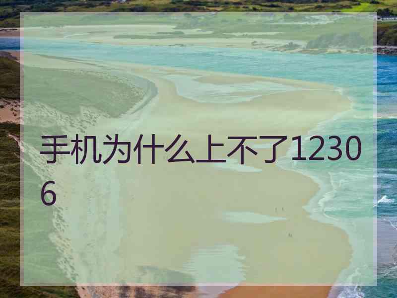 手机为什么上不了12306