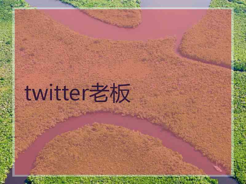 twitter老板