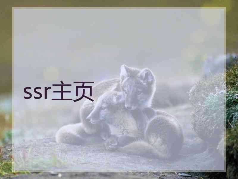 ssr主页