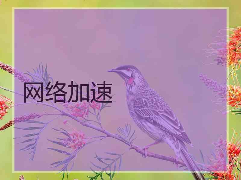 网络加速