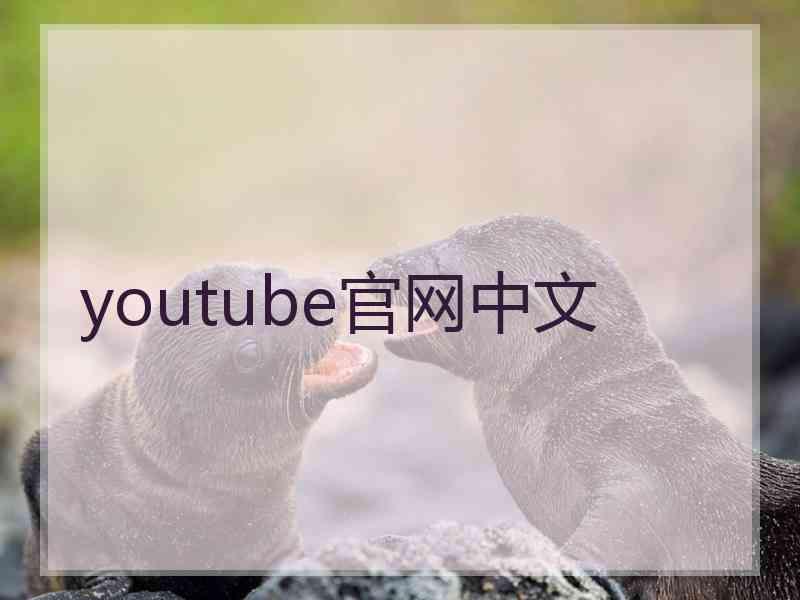 youtube官网中文