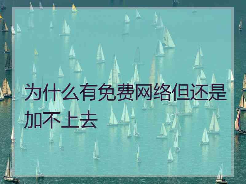 为什么有免费网络但还是加不上去