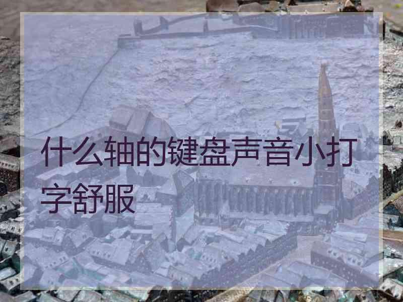 什么轴的键盘声音小打字舒服