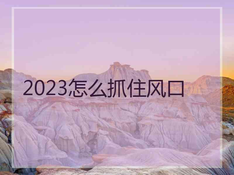2023怎么抓住风口