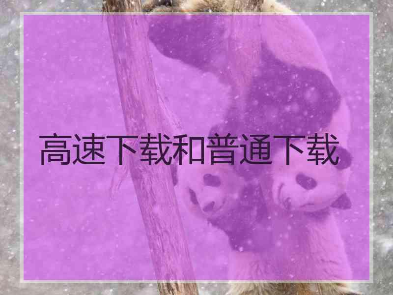 高速下载和普通下载