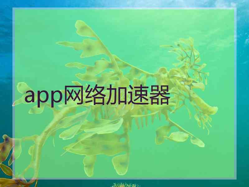 app网络加速器
