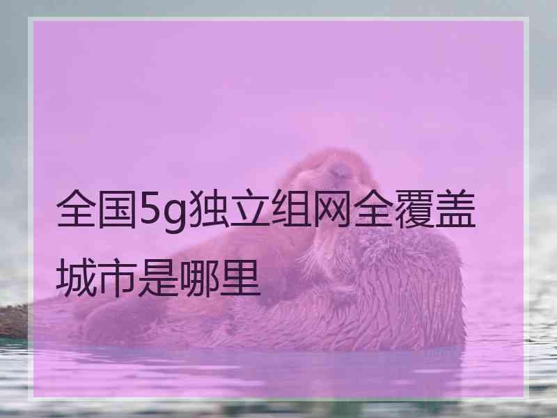 全国5g独立组网全覆盖城市是哪里