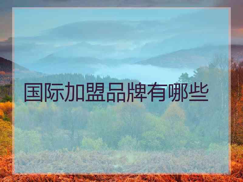国际加盟品牌有哪些