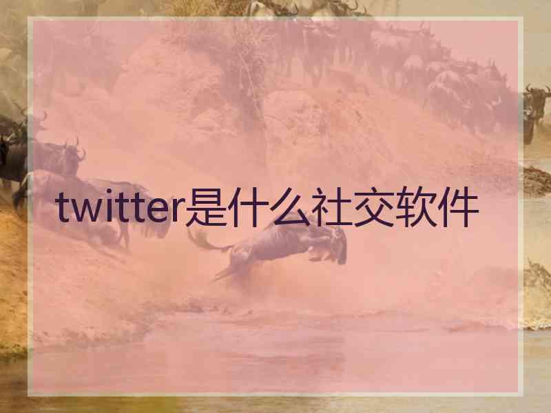 twitter是什么社交软件