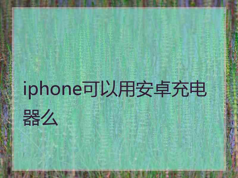 iphone可以用安卓充电器么
