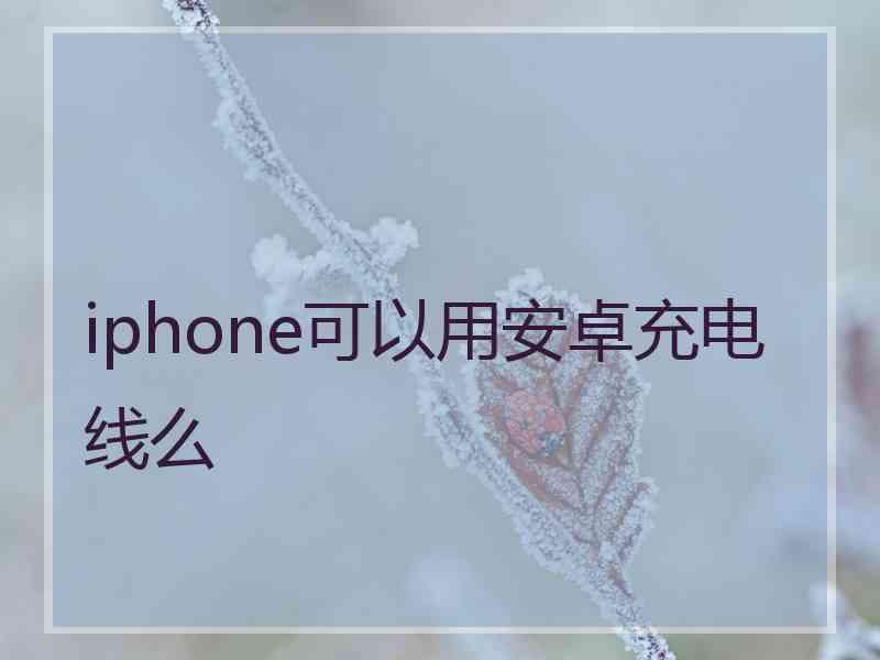 iphone可以用安卓充电线么