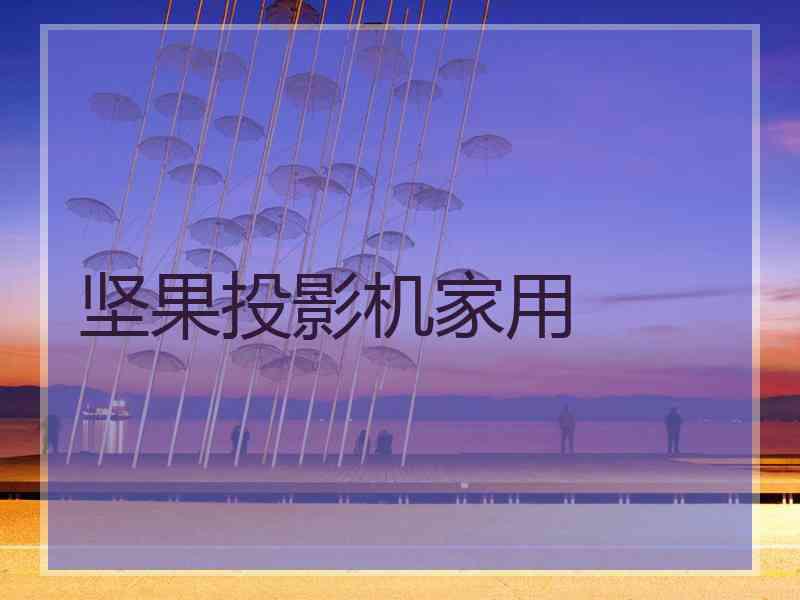 坚果投影机家用