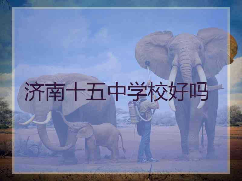 济南十五中学校好吗