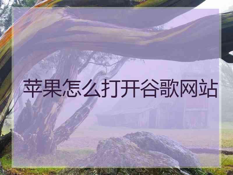 苹果怎么打开谷歌网站