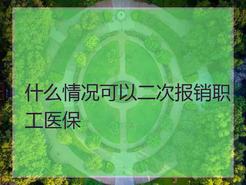 什么情况可以二次报销职工医保