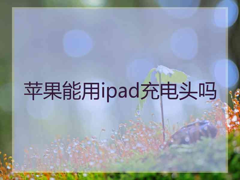 苹果能用ipad充电头吗