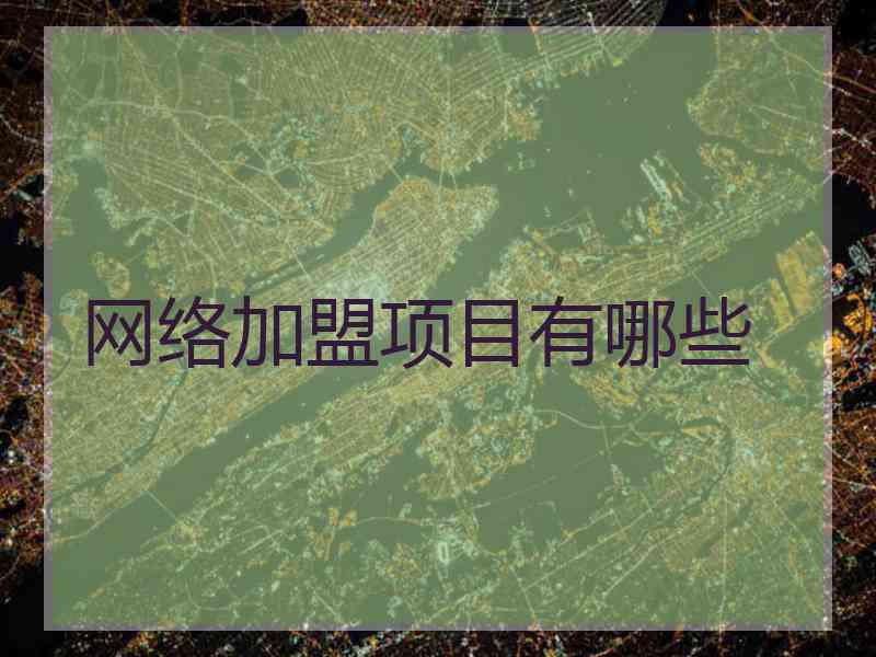 网络加盟项目有哪些