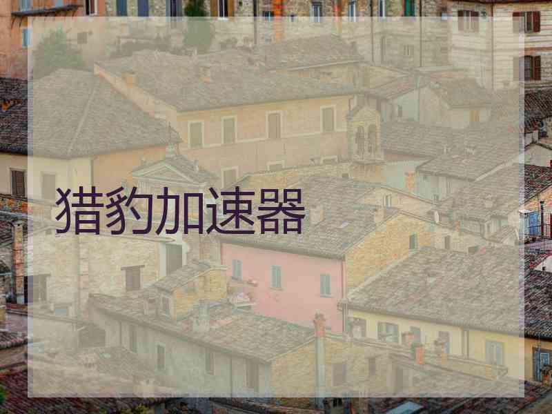 猎豹加速器