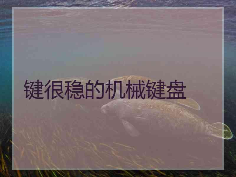 键很稳的机械键盘