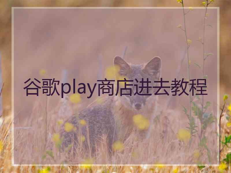 谷歌play商店进去教程