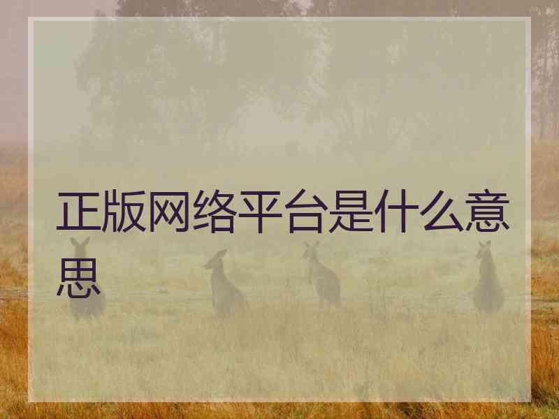 正版网络平台是什么意思