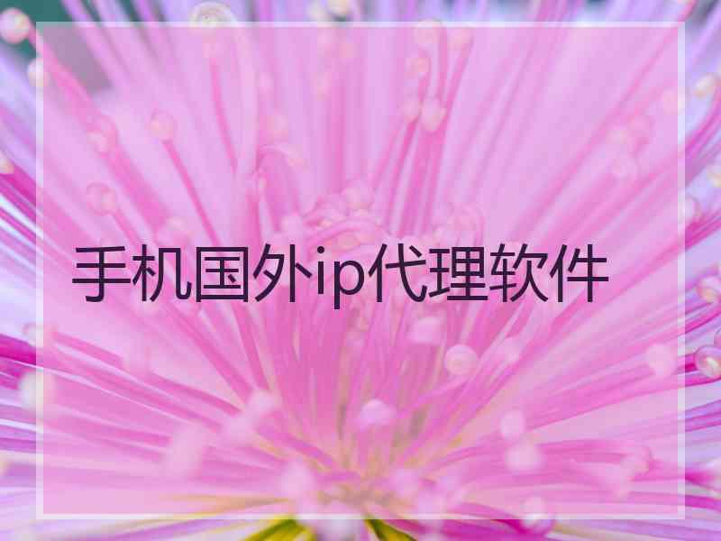 手机国外ip代理软件