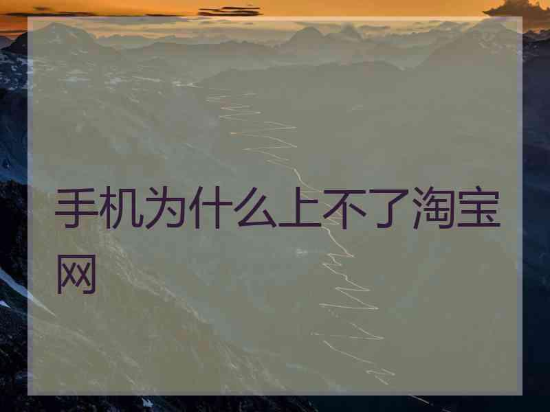 手机为什么上不了淘宝网