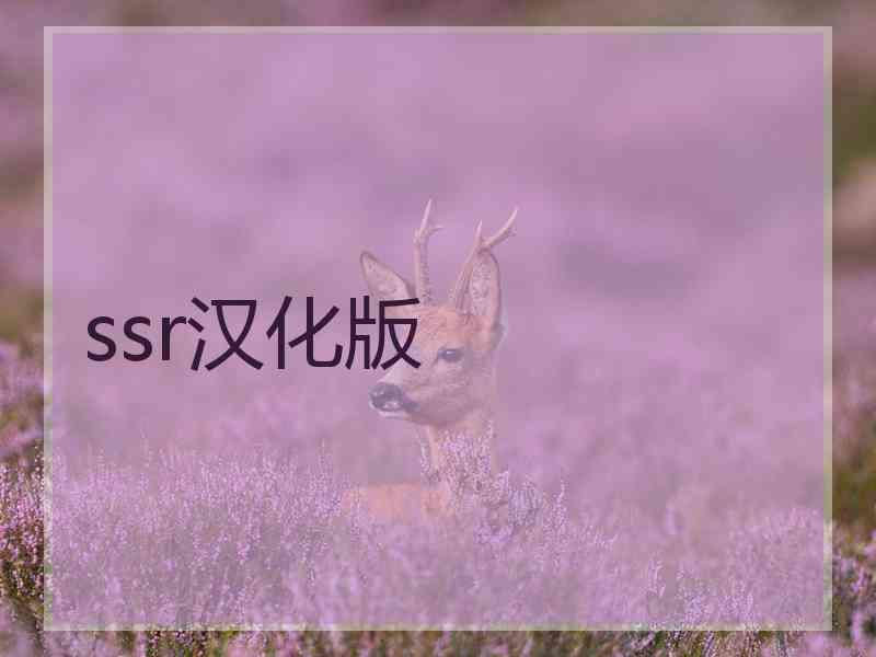 ssr汉化版