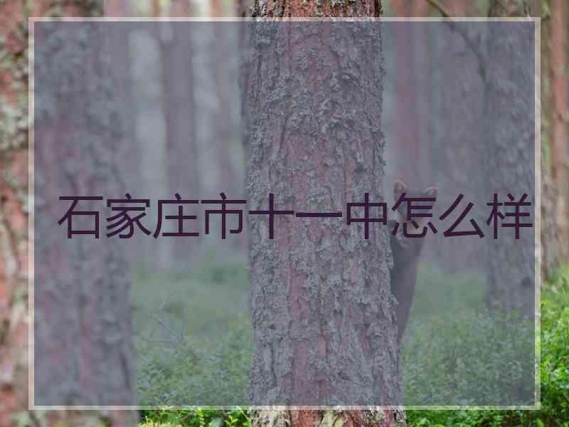 石家庄市十一中怎么样