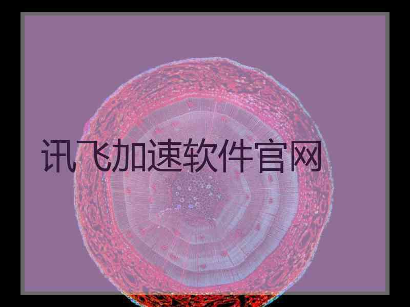 讯飞加速软件官网