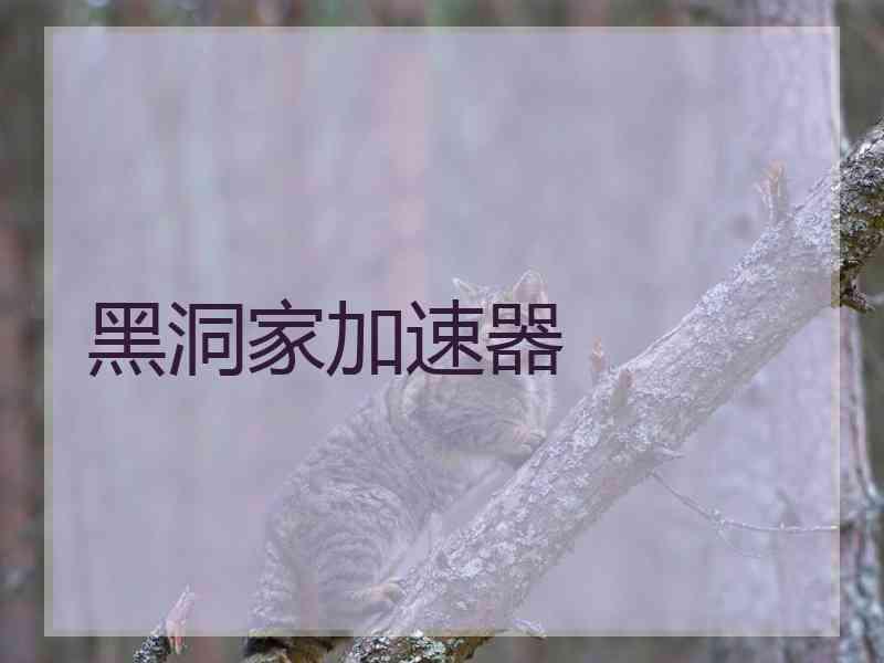 黑洞家加速器