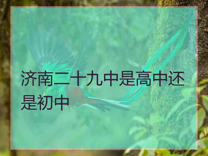 济南二十九中是高中还是初中