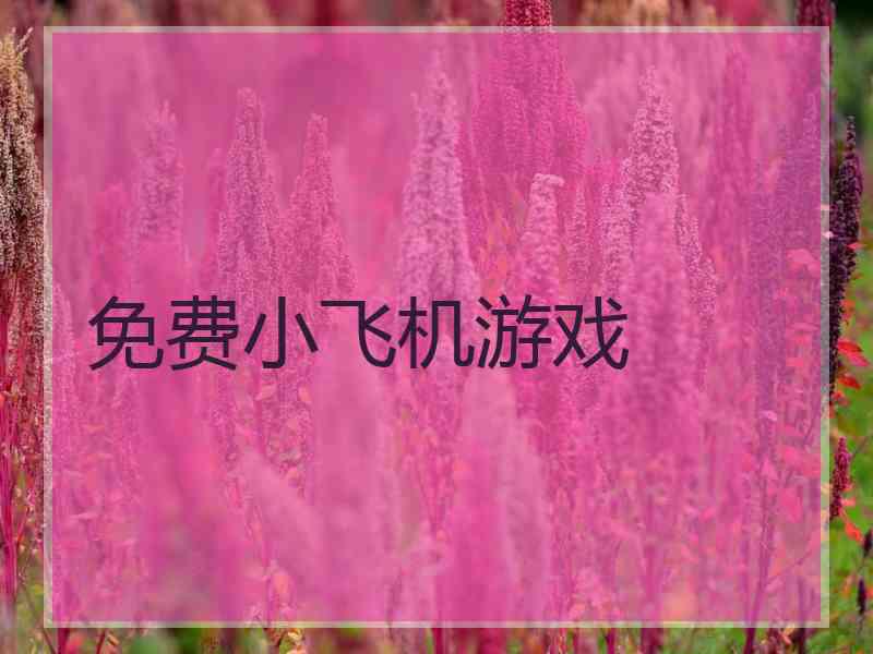 免费小飞机游戏