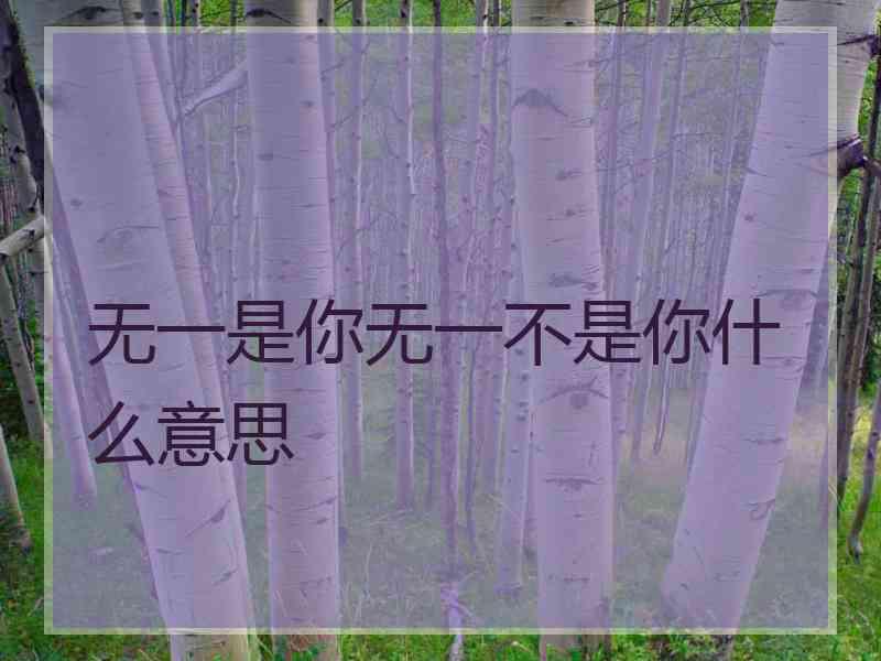 无一是你无一不是你什么意思