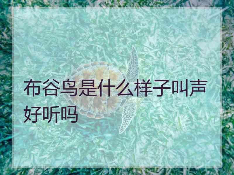 布谷鸟是什么样子叫声好听吗