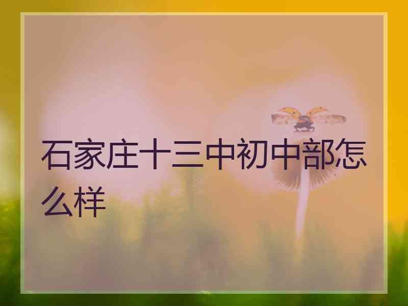 石家庄十三中初中部怎么样
