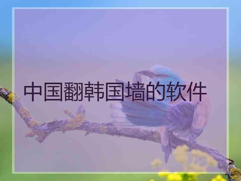 中国翻韩国墙的软件