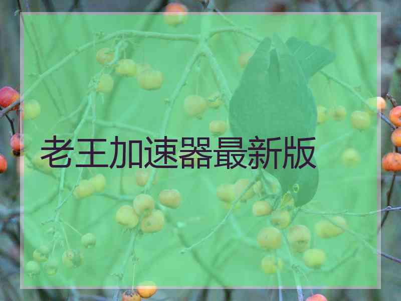 老王加速器最新版