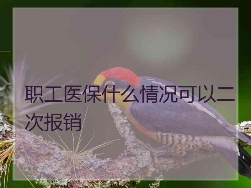 职工医保什么情况可以二次报销