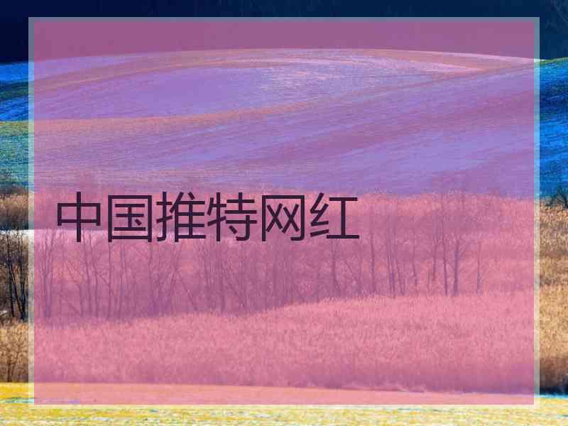 中国推特网红