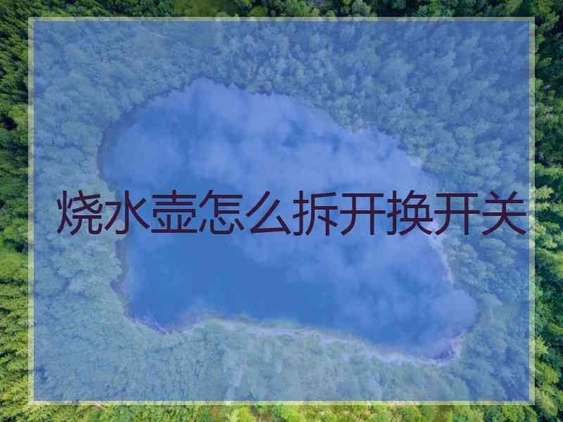 烧水壶怎么拆开换开关
