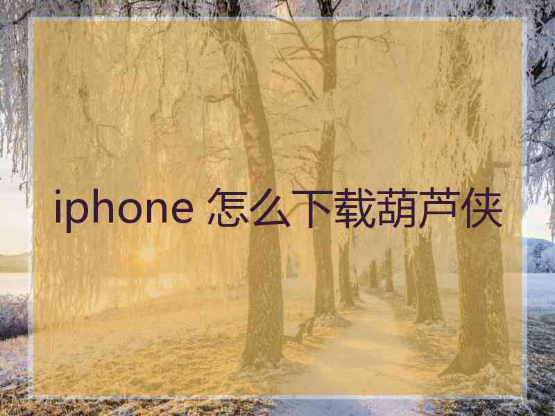 iphone 怎么下载葫芦侠